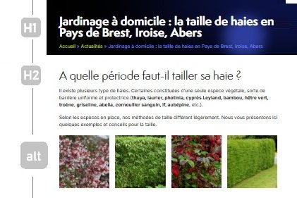 Référencement ajout de landing pages, rédacteur web SEO en Bretagne - Brest - Finistère